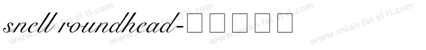 snell roundhead字体转换